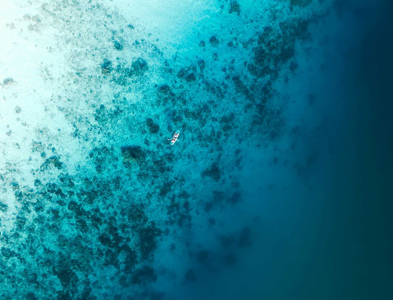 PADI Open Water Course